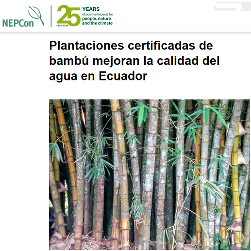Informe.png